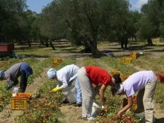 Prestiti Lavoratori Stagionali